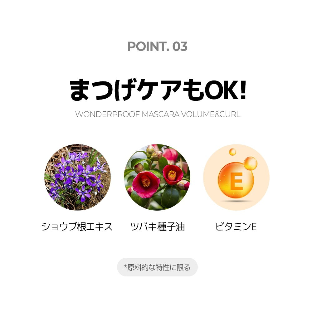 スライド画像