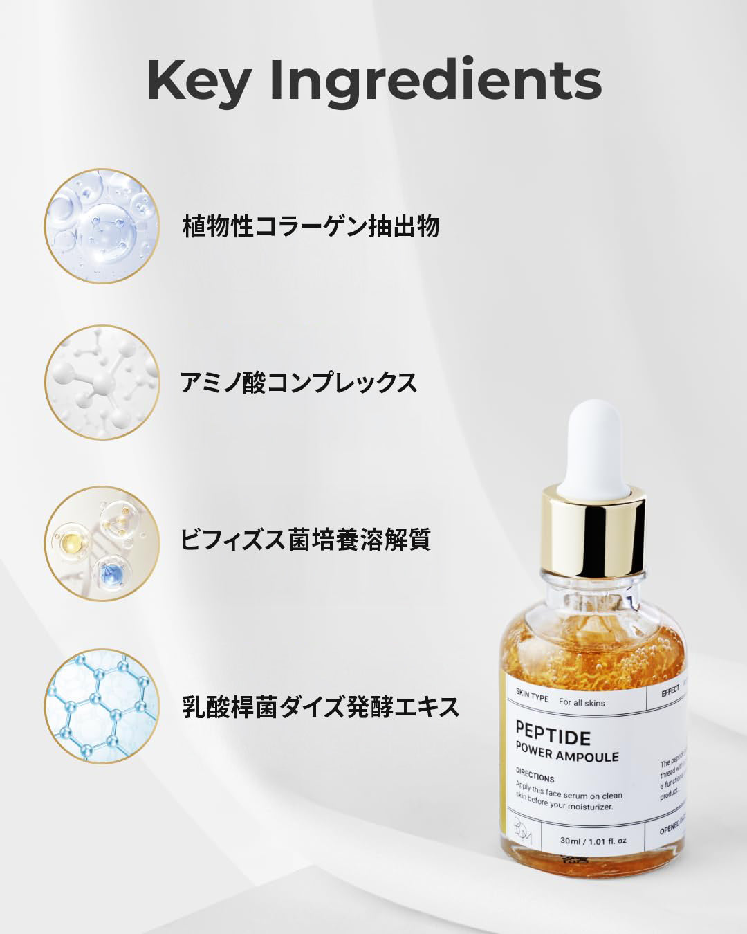 スライド画像