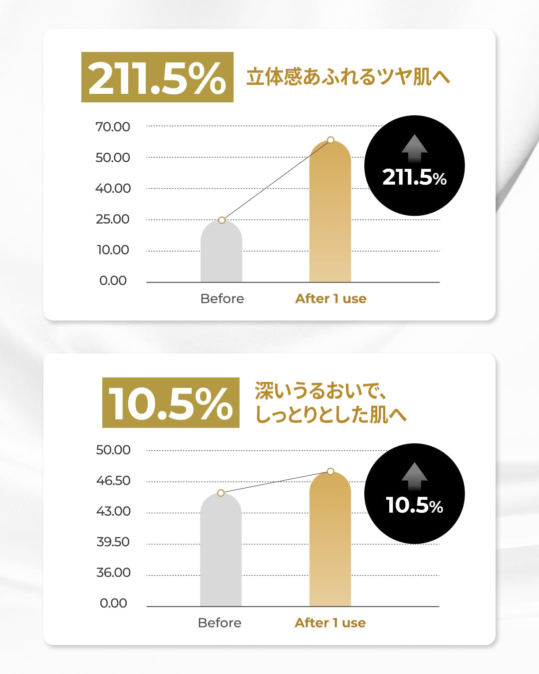 スライド画像