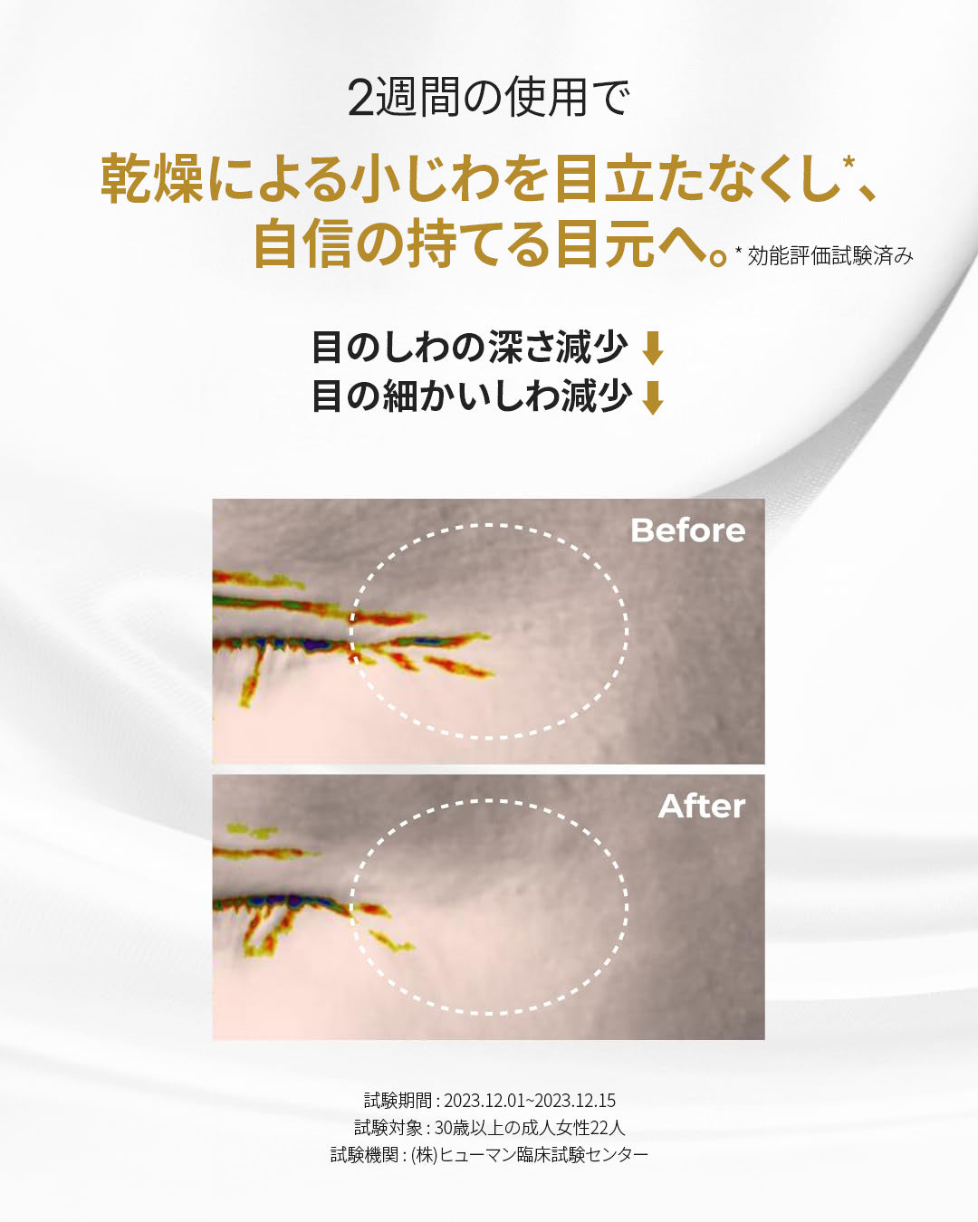 スライド画像