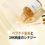 スライド画像