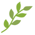 スライド画像